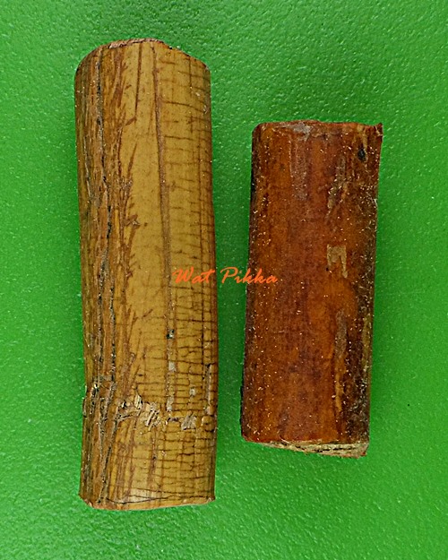 หวายลูกนิมิต ..  .E267.