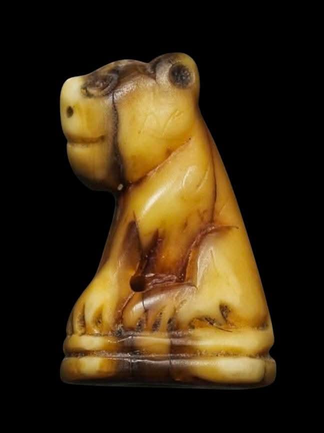 เขี้eวเสืoแกะรูปเสือ(ตัวเล็ก) มีรอยจารรอบตัว