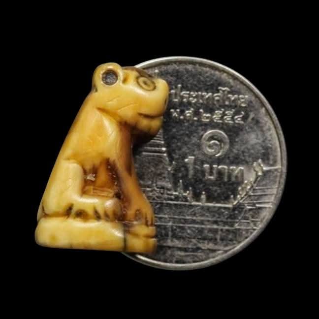 เขี้eวเสืoแกะรูปเสือ(ตัวเล็ก) มีรอยจารรอบตัว