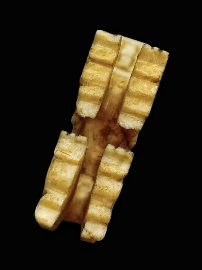 สิงห์งrแกะ ศิลปะงดงามเนื้อหาเก่าๆ มันๆ พอมีอายุ