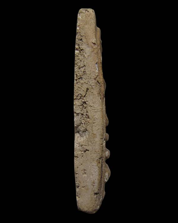 พระสมเด็จพิมพ์ก้างปลา วัดประสาทบุญญาวาส กทม.ปี ๒๕๐๖