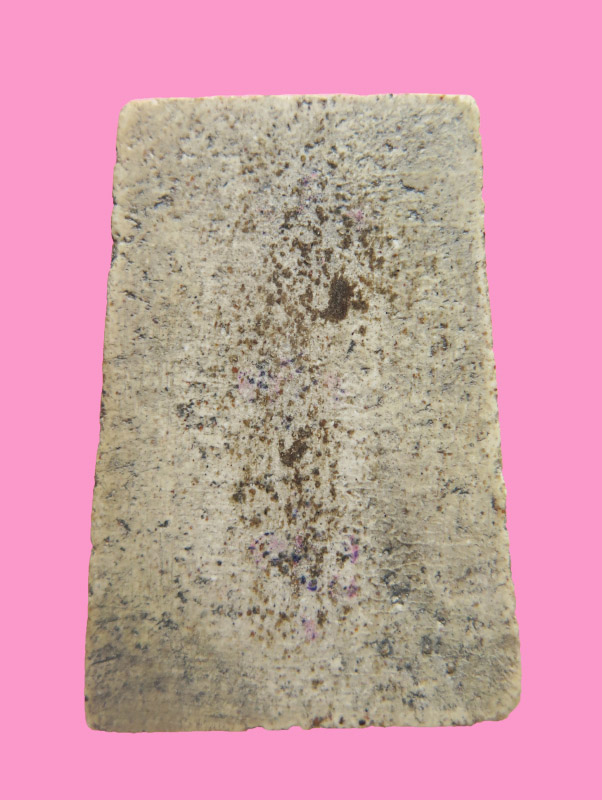 สมเด็จพระราชทานลูกเสือชาวบ้าน วัดระฆัง ปี 19