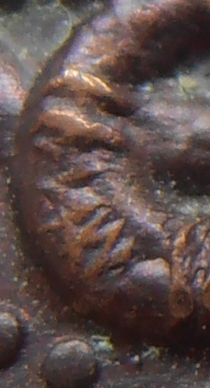 เหรียญนาคเกี้ยว วัดตรีจินดาวัฒนาราม สมุทรสงคราม ปี ๒๕๐๐