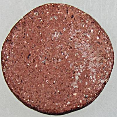 พระผงรูปเหมือน หลวงพ่อท้วม วัดบางขวาง นนทบุรี