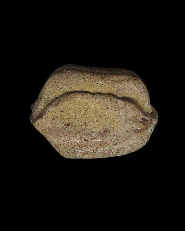 พระคงลำพูน กรุใหม่ จ,ลำพูน 