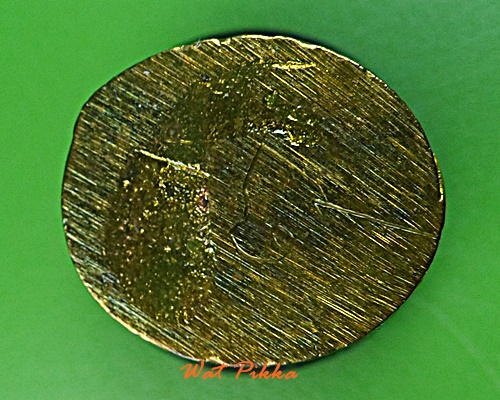 พยัคฆ์เขี้ยวดาบหลวงพ่อสมชาย วัดปริวาสราชสงคราม กทม. .E529.*