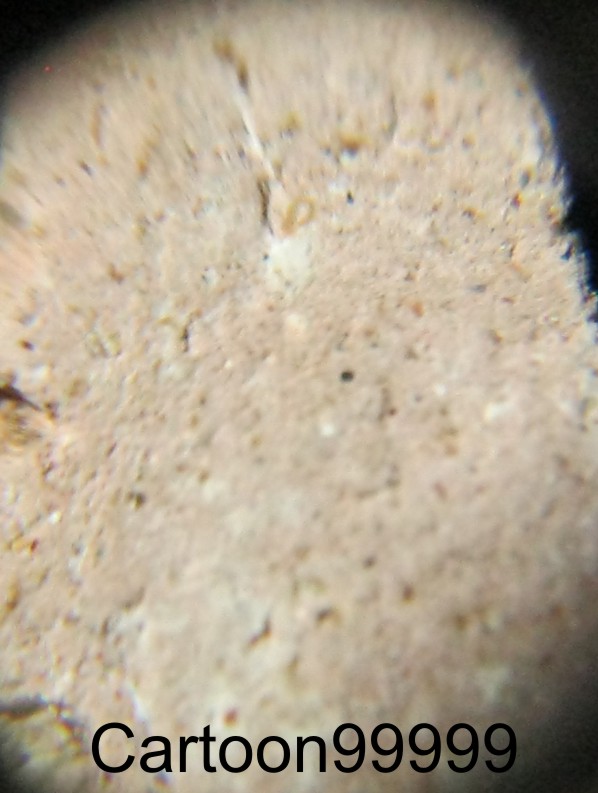 พระพิมพ์ผงสุพรรณ หลวงพ่อสงวน วัดไผ่พันมือ สุพรรณบุรีครับ อีก ๑ พิมพ์หายากครับผม 