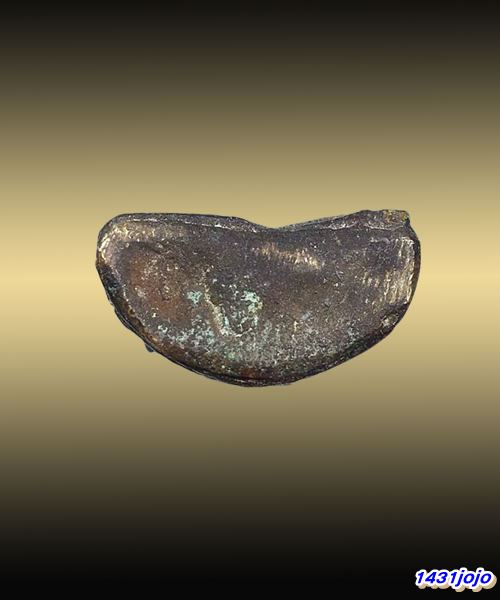 พระชัยวัฒน์ พิมพ์สิงหเสนีย์ หลวงปู่ธูป ปี 2482 วัดแคนางเลิ้ง + บัตรรับรอง (นิยม)