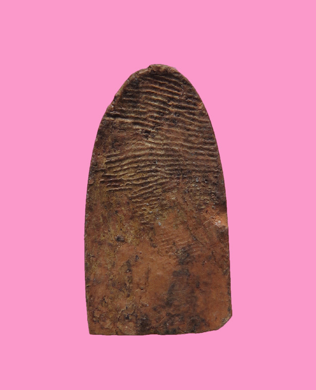 พระลีลา เคลือบ หลวงพ่อหอม วัดบางเตยกลาง ปทุมธานี