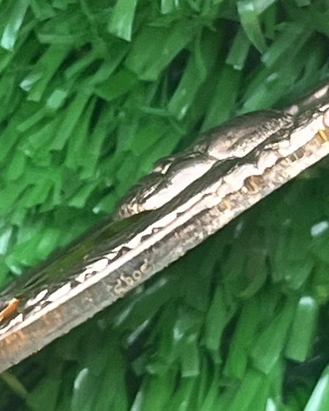 หลวงพ่อพัฒน์ ปุญฺญกาโม วัดห้วยด้วน จ.นครสวรรค์ รุ่น พยัคฆ์แสนล้าน เนื้อนวะโลหะ ลงยาจีวร