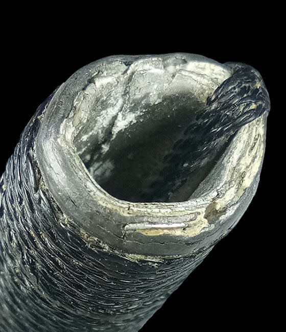 ตะกรุดโทน 2 กษัตริย์ ยุคต้น (ตะกั่ว+อลูมิเนียม) หลวงพ่อกวย ชุตินธโร วัดโฆสิตาราม จ.ชัยนาท