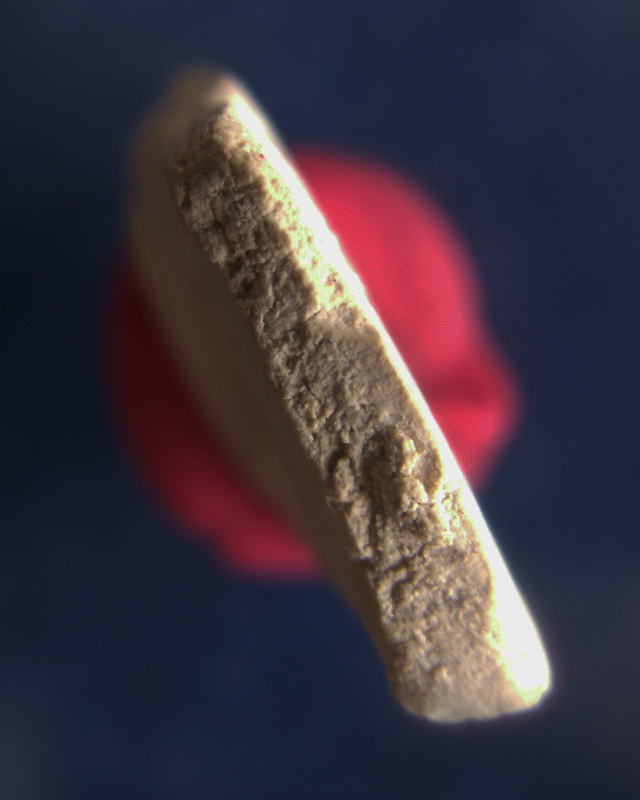 สมเด็จบางขุนพรหม 09 พิมพ์อกครุฑใหญ่ หลังตรายาง พร้อมใบประกาศที่ 4