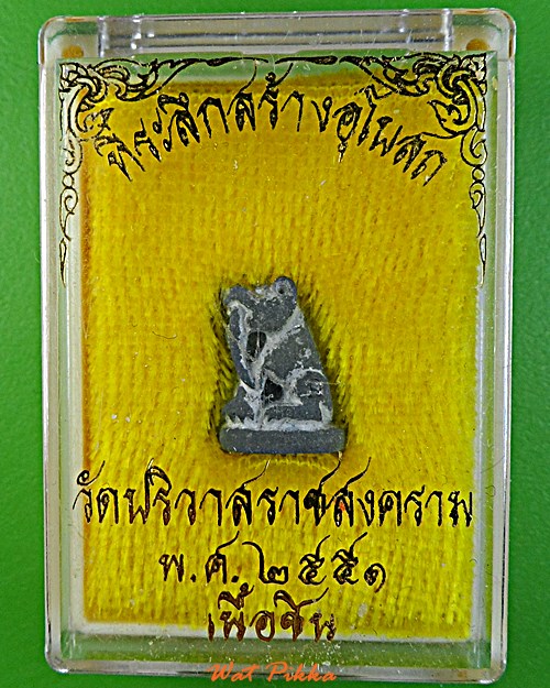 เสือเขี้ยวดาบ(จิ๋ว) วัดปริวาสราชสงคราม กทม. .770.*