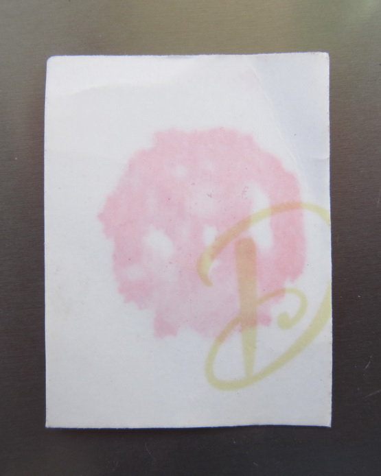 รูปถ่ายยืนครูบากฤษดา วัดสันพระเจ้าแดง