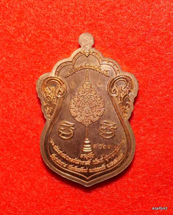 เหรียญหลวงพ่อพัฒน์ วัดห้วยด้วน นครสวรรค์ รุ่นเลื่อนสมณศักดิ์