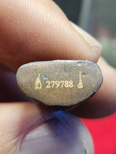 วัดโสธรวรารามวรวิหาร จังหวัดฉะเชิงเทรา รูปหล่อ หลวงพ่อโสธร รุ่น ทองประทาน  ปี พ.ศ. 2550 