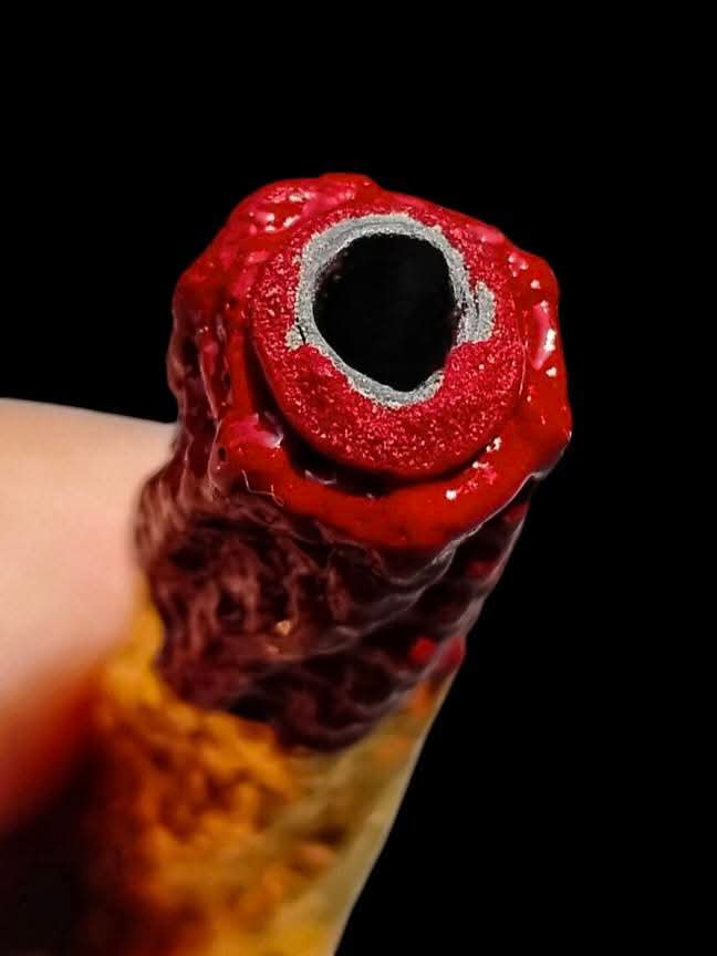 ตะกรุดแดง(เมตตามหานิยม) หลวงพ่อจำลอง เขมนันโท วัดเจดีย์แดง จ.อยุธยา