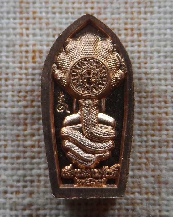 เหรียญพระนาคปรก รุ่นเลื่อนสมณศักดิ์ พระราชวัชรพัฒนาทร วัดม่วง กรุงเทพฯ ปี๒๕๖๗