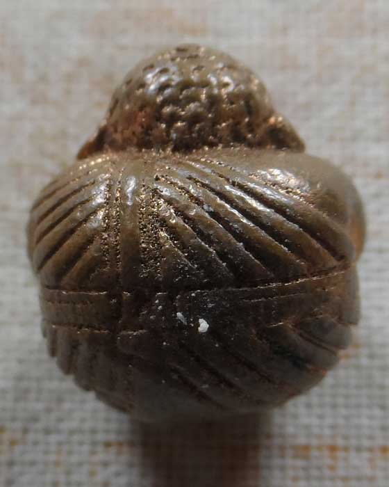 ลูกอมพระสังกัจจายน์เพิ่มทรัพย์ ครูบาอริยชาติ อริยจิตโต วัดแสงแก้วโพธิญาณ จ.เชียงราย