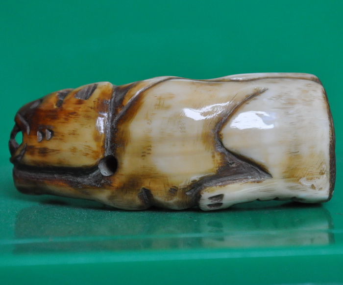 เสือหมอบเขากวางแกะ