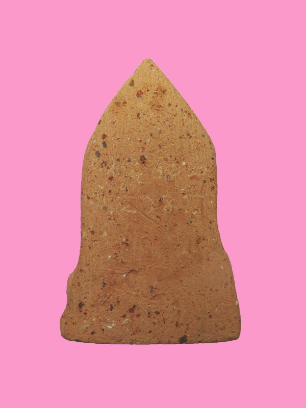 พระโคนสมอ วตน  มีจาร