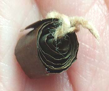 *ตะกรุดลูกอมโลกธาตุ หลวงพ่อเปลี่ยน วัดใต้ กาญจนบุรี*