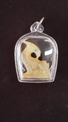 แพะเหลียวหลังเขาควาย หลวงพ่อสายทอง วัดพรหมนิวาส เมตตา มหาเสน่ห์ รุ่น 1 ตำหรับหลวงปู่สี วัดสะแก 