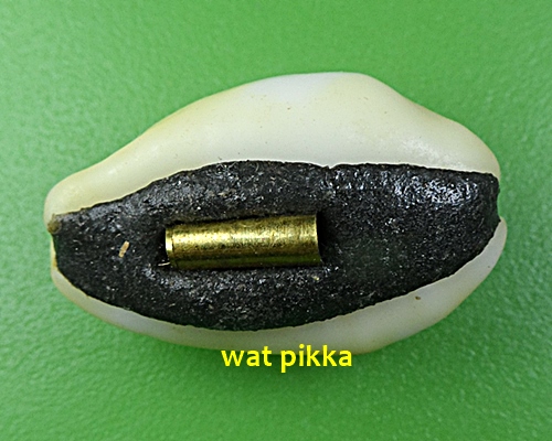 เบี้ยมหาโภคทรัพย์ ฝังตะกรุดหัวใจเศรษฐี หลวงปู่สิงห์ วัดบ้านขี้เหล็ก ศรีสะเกษ .4228.*