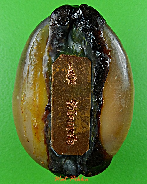 เบี้ยแก้หลวงพ่อพิเชฐ วัดโคกหม้อ ลพบุรี *.5483.*