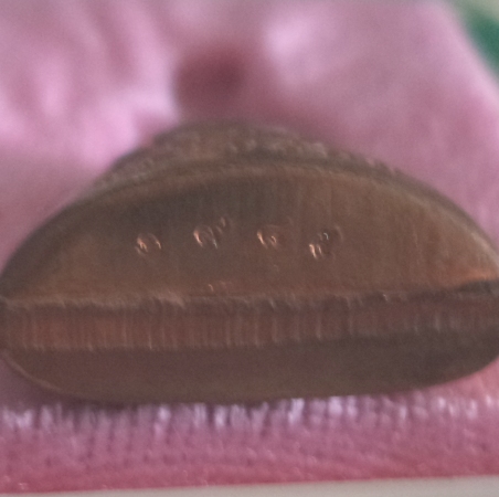 หล่อปั๊มรูปเหมือน 7รอบ เนื้อทองแดง หลวงพ่อเอียด วัดไผ่ล้อม ปี55 