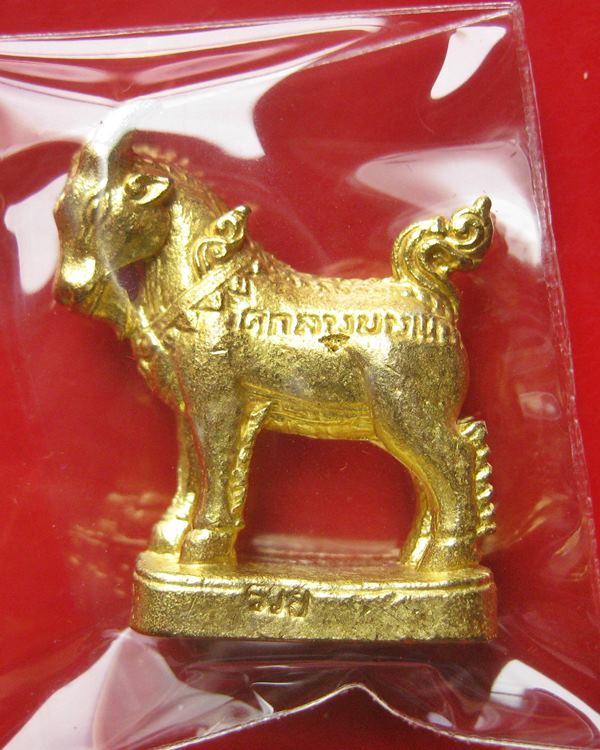 แพะมหาเสน่ห์ แพะตัวเมีย รุ่นคู่ชีวิต หลวงพ่อคง(สัญญา) วัดกลางบางแก้ว ออกปี 58 เป็นแพะรุ่นเดียวของหลว