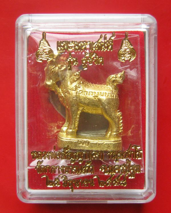 แพะมหาเสน่ห์ แพะตัวเมีย รุ่นคู่ชีวิต หลวงพ่อคง(สัญญา) วัดกลางบางแก้ว ออกปี 58 เป็นแพะรุ่นเดียวของหลว