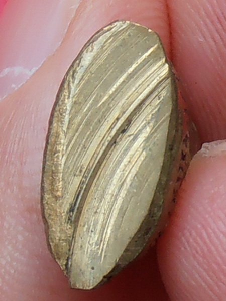 รูปหล่อหลวงพ่อแดง วัดปรกเจริญ ราชบุรี ปี 2518 รุ่นแรก