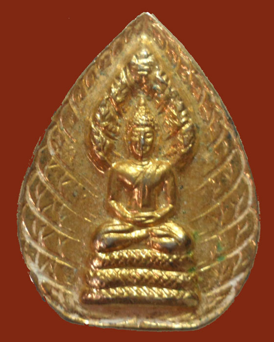 เหรียญพระนาคปรก