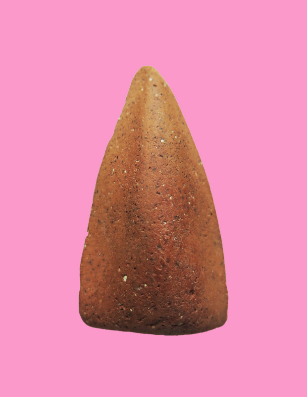 พระพุทธเนื้อดินหลังประทุน 