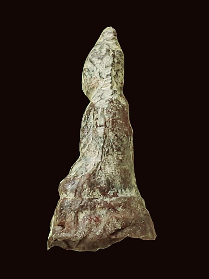 พระยุครัตนะ เนื้อตะกั่ว สนิมแดง