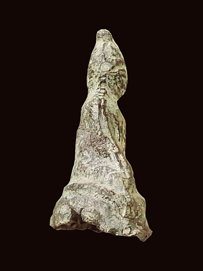 พระยุครัตนะ เนื้อตะกั่ว สนิมแดง