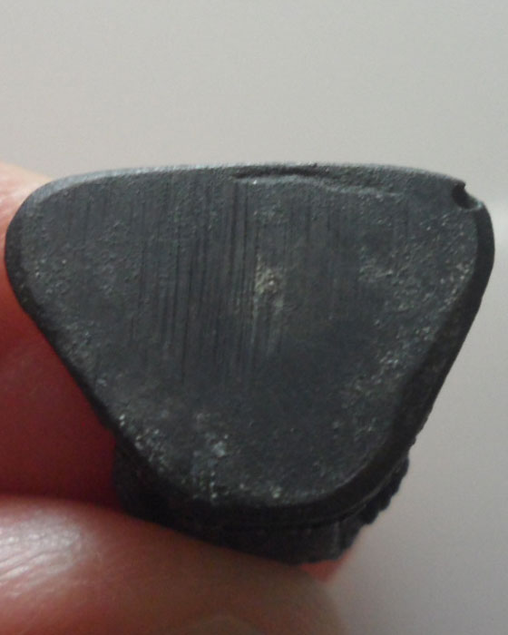 *** จ.ตาก *** รูปเหมือนหลวงปู่จันทร์ ครุธมํโม วัดสบยม รุ่น๑ ปี๒๕๓๖