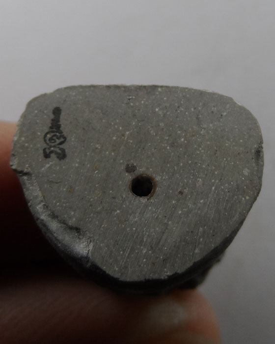 พระผงรูปเหมือน หลวงพ่อชม วัดเขาดิน จ.อยุธยา