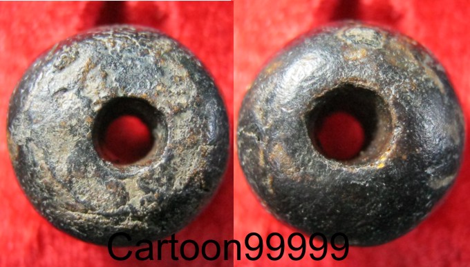 เม็ดประคำจัมโบ้ แห้ง เก่า ได้อายุครับผม