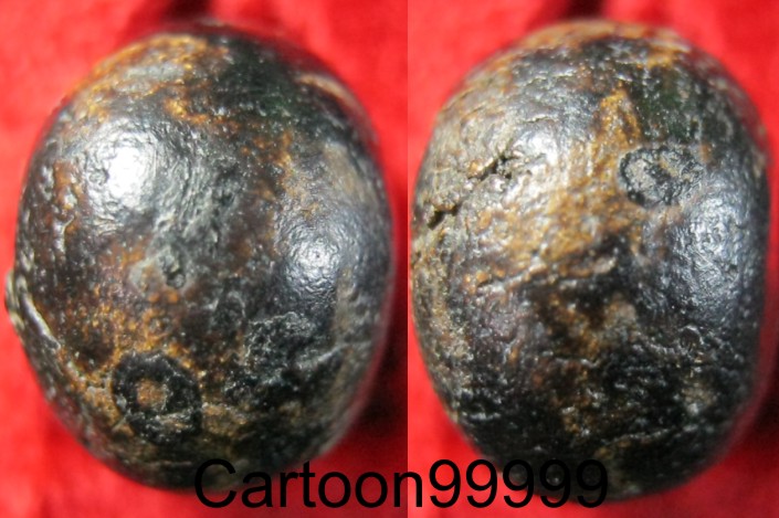 เม็ดประคำจัมโบ้ แห้ง เก่า ได้อายุครับผม