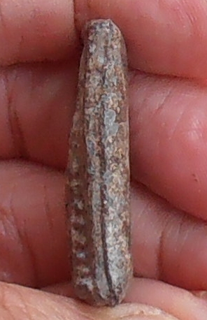 พระกรุวัดท้ายตลาด พิมพ์เจดีย์