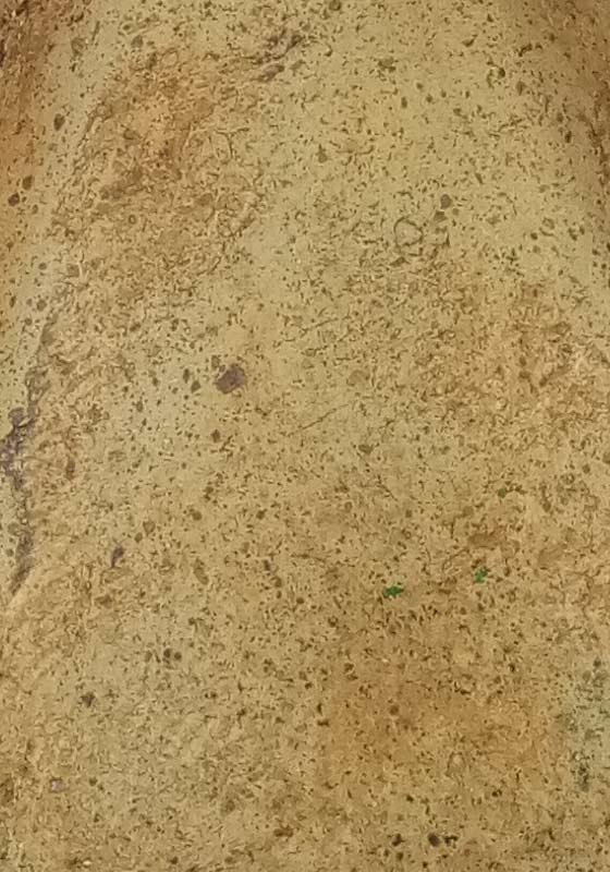 พระลือซุ้มนาค ๑ในพระชุดสกุลลำพูน เนื้อดินเผา