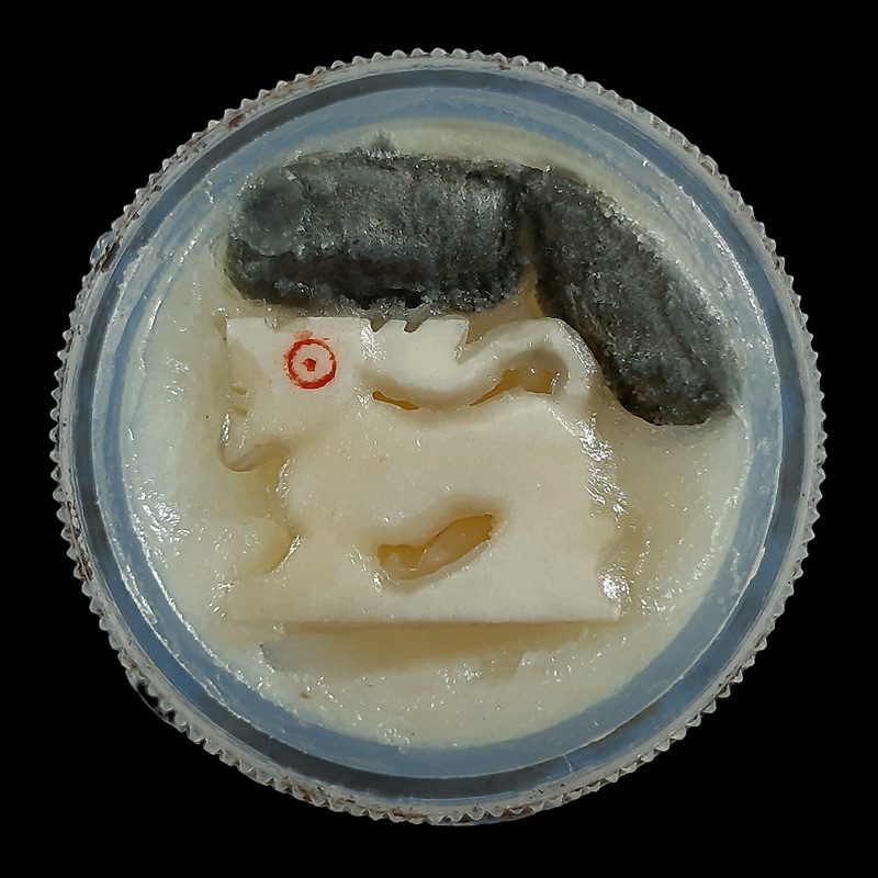 ตลับสีผึ้ง ในตลับมี สิงห์ 1 องค์ ,พระพิจิตรเม็ดข้าวเม่า 2 องค์ 