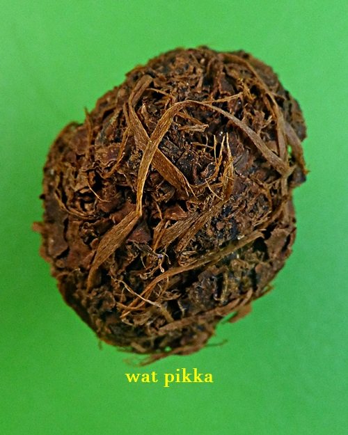 ชานหมากหลวงปู่หลุย วัดราชโยธา กทม. .E301..