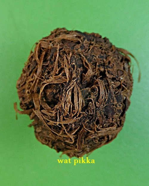 ชานหมากหลวงปู่หลุย วัดราชโยธา กทม. .E301..