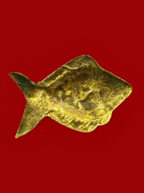 ปลาตะเพียนคู่ (ขนาดเล็ก)