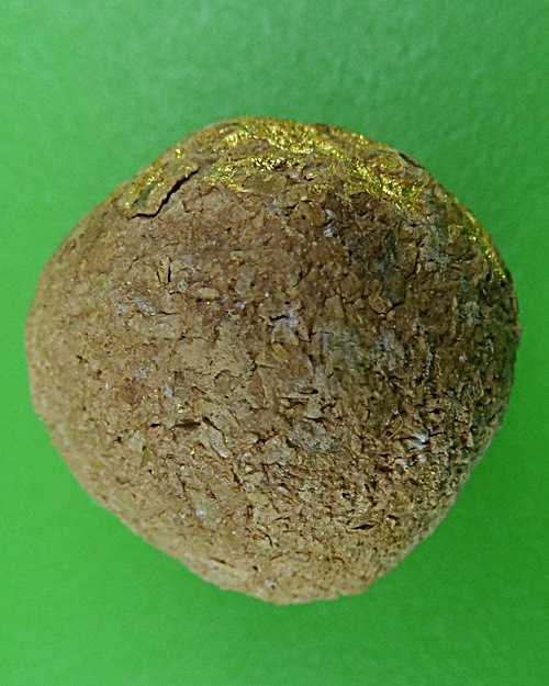 ลูกอมชานหมากหลวงพ่อเชย(2) วัดบางกระสอบ สมุทรปราการ .B756.