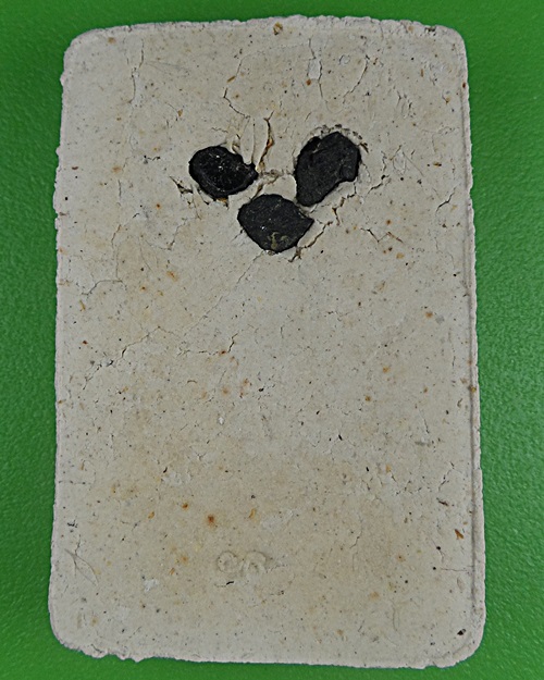 พระสมเด็จหลวงปู่สิงห์ วัดบ้านขี้เหล็ก ศรีสะเกษ .B814.