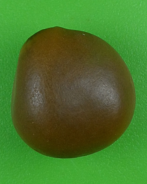 ลูกมหาพิศวาสอาจารย์อุ้ย เก้ายอด สำนักสักยันต์เก้ายอด อุบลราชธานี .B824.